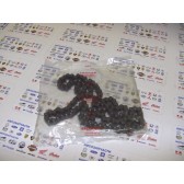 CHAIN, CAM (126L)